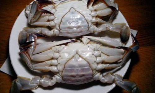How to Select Fresh Crab Meat:A Comprehensive Guide