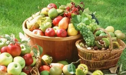 How to Select Fresh Fruits:A Comprehensive Guide