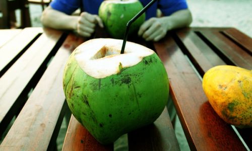 How to Select Fresh Coconuts:A Comprehensive Guide
