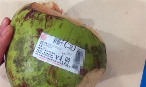 How to Select Fresh Coconuts:A Comprehensive Guide