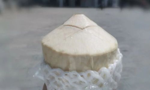 How to Select Fresh Coconuts:A Comprehensive Guide