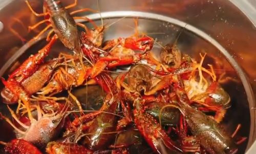 How to Select Fresh Crayfish:A Comprehensive Guide