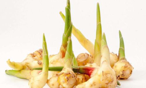 How to Select Fresh Ginger:A Comprehensive Guide