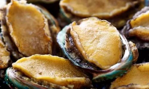 How to Select Fresh Shell-On Abalone