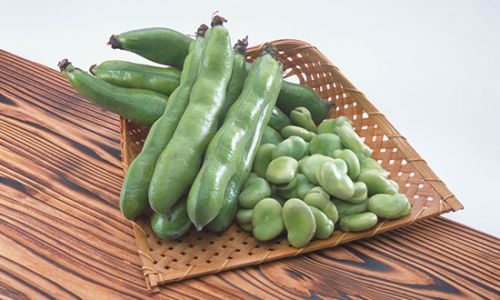 How to Select Fresh Broad Beans:A Comprehensive Guide