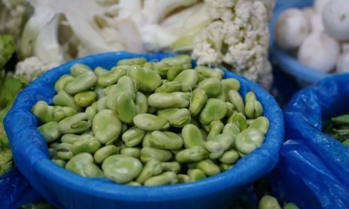 How to Select Fresh Broad Beans:A Comprehensive Guide