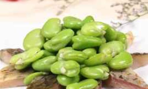 How to Select Fresh Broad Beans:A Comprehensive Guide