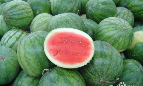 How to Choose a Delicious Watermelon