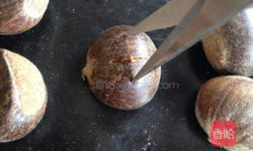 How to Select the Perfect Chestnut