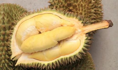 How to Select the Perfect Durian Flesh:A Comprehensive Guide