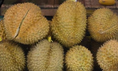 How to Select the Perfect Durian Flesh:A Comprehensive Guide