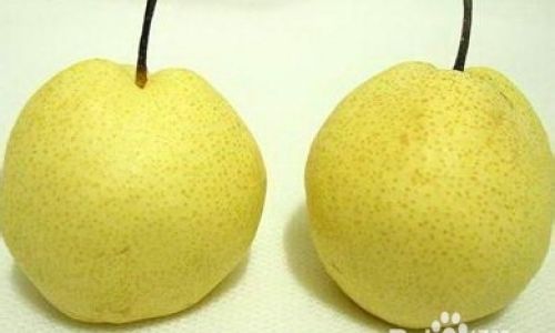 How to Select the Perfect Pear