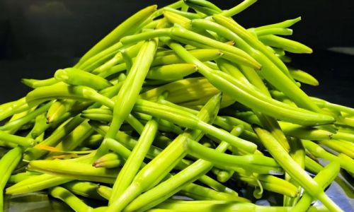 How to Select Delicious Day Lily Buds