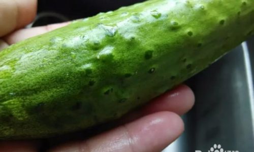 How to Select Delicious Cucumbers:A Comprehensive Guide