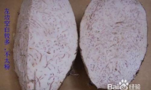 How to Select High-Quality Taro Root:A Comprehensive Guide