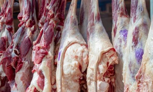 How to Select High-Quality Lamb Meat