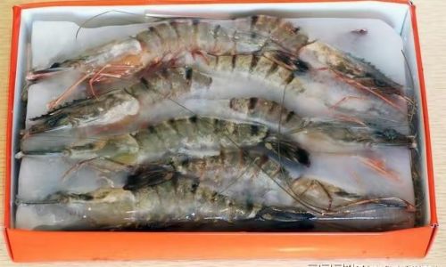 How to Select High-Quality Skinless Frozen Fish