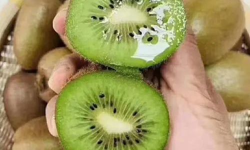 How to Select Delicious Kiwifruits