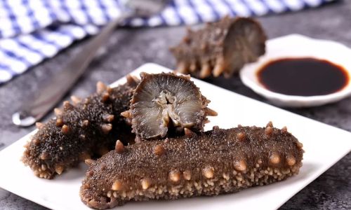 How to Select High-Quality Sea Cucumbers:A Comprehensive Guide