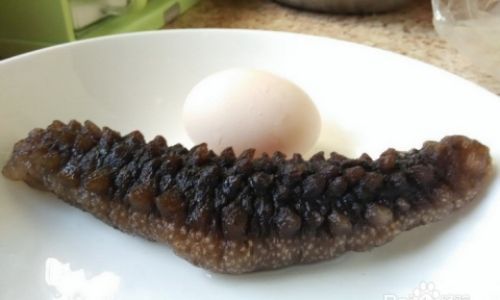 How to Select High-Quality Sea Cucumbers:A Comprehensive Guide