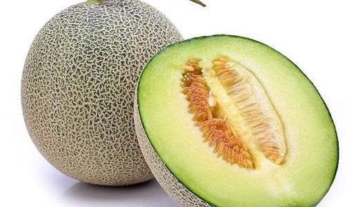 How to Select the Perfect Cantaloupe