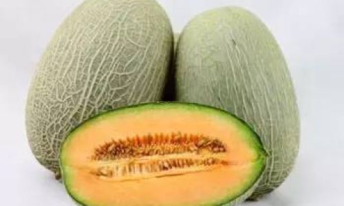 How to Select the Perfect Melon:A Comprehensive Guide