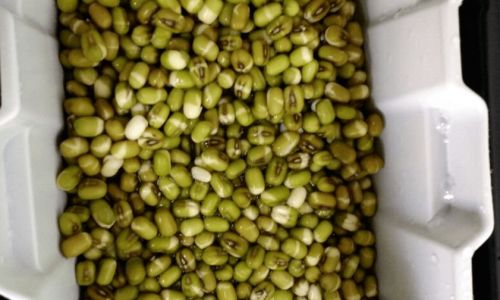 How to Select Delicious Beans:A Comprehensive Guide