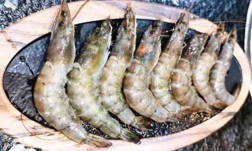 How to Select the Best Frozen Shrimp