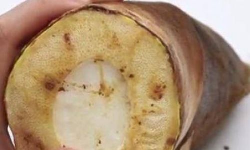 How to Select the Most Delicious Spring Bamboo Shoots