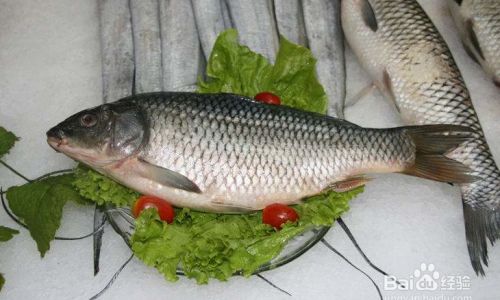 How to Select Fresh Fish:A Comprehensive Guide