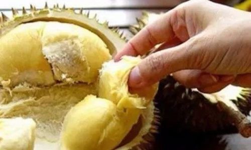 How to Pick a Delicious Durian:A Comprehensive Guide