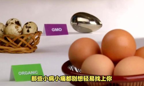How to Create Text on Boiled Eggs:A Unique Culinary Art