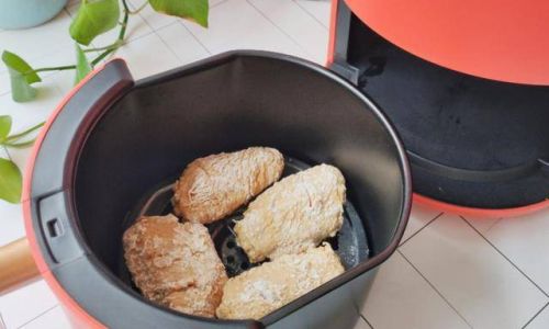 Mastering the Art of Air Fryer Chicken:A Comprehensive Guide