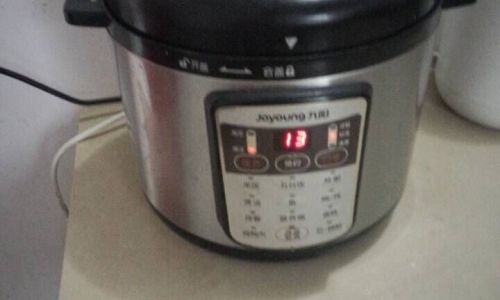 Mastering the Art of Cooking Rice with a Korean Rice Cooker