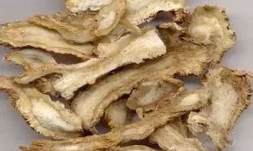 How to Consume Angelica Sinensis Dong Quai)A Comprehensive Guide