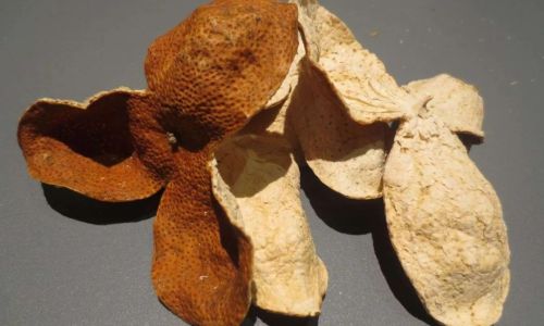 How to Consume Dried Tangerine Peel Chenpi)A Comprehensive Guide
