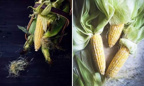 How to Identify Fresh Corn:A Comprehensive Guide