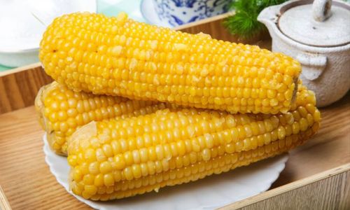 How to Identify Fresh Corn:A Comprehensive Guide