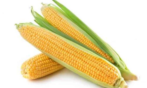 How to Identify Fresh Corn:A Comprehensive Guide