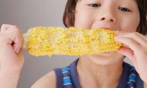 How to Identify Fresh Corn:A Comprehensive Guide