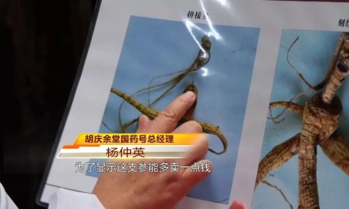 How to Discern Fresh Ginseng and Dried Ginseng:A Comprehensive Guide