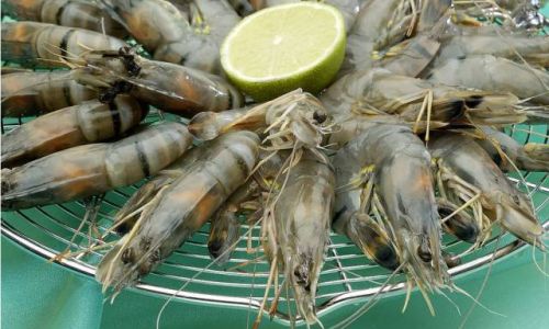 How to Identify Fresh Seafood:A Comprehensive Guide