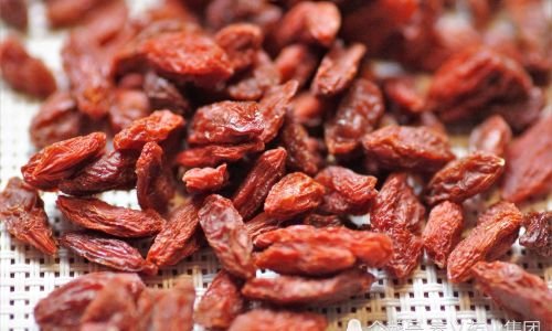 How to Identify Fresh Goji Berries