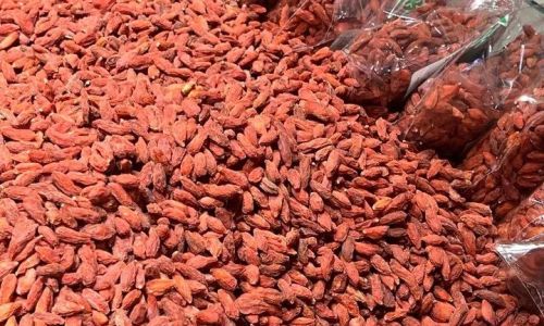 How to Identify Fresh Goji Berries