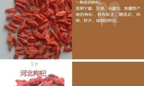How to Identify Fresh Goji Berries