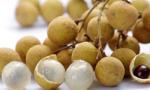 How to Identify Fresh Longan Fruits