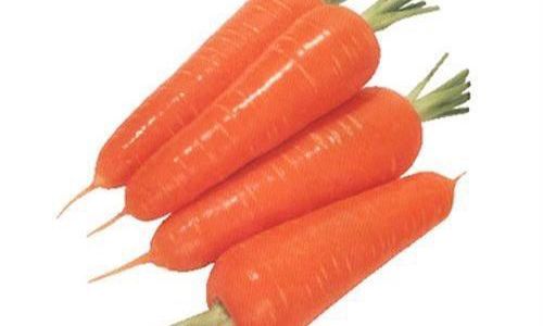 How to Identify the Maturity and Freshness of Carrots