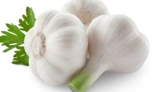 How to Identify Fresh Garlic:A Comprehensive Guide