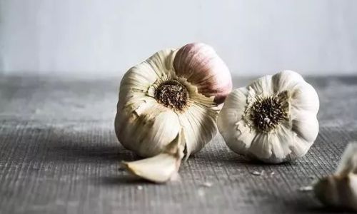 How to Identify Fresh Garlic:A Comprehensive Guide