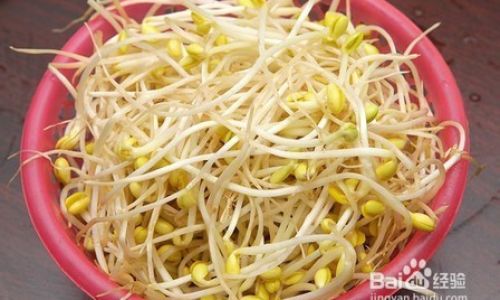 How to Grow Sprouts at Home:A Comprehensive Guide